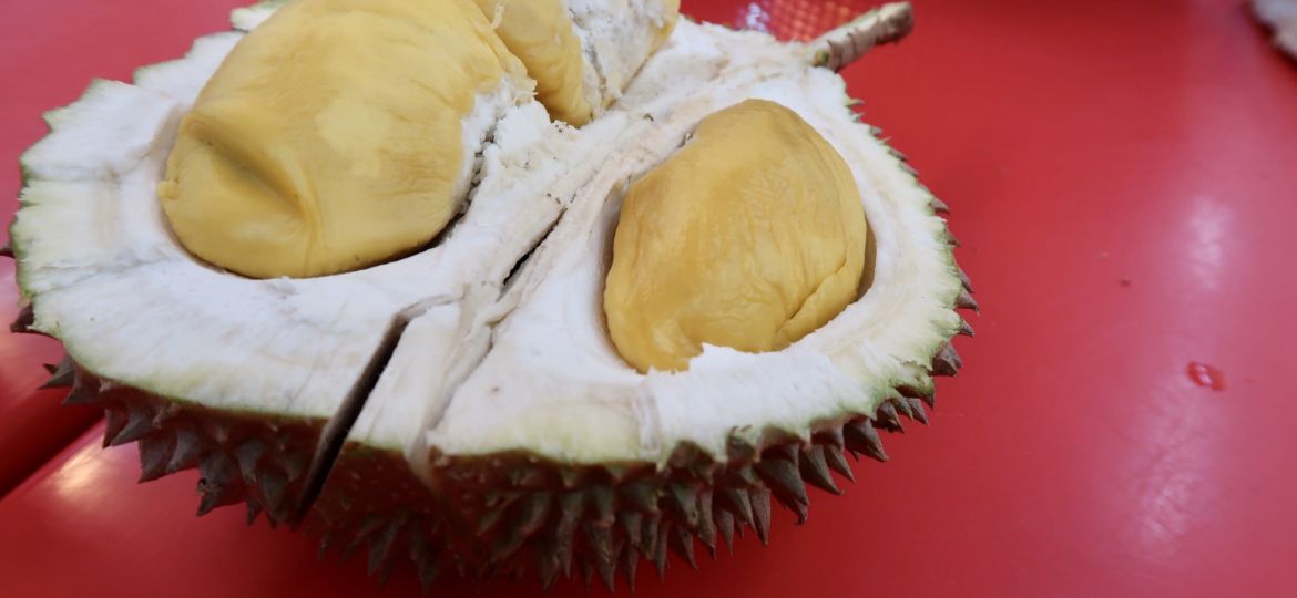 durian malaysia