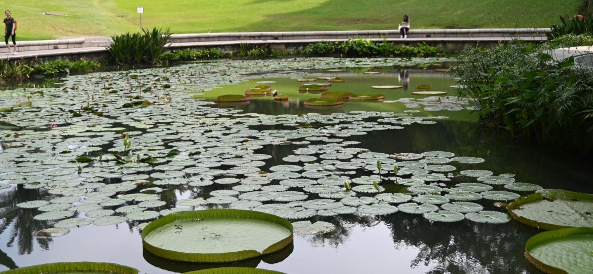 botanic gardens singapore